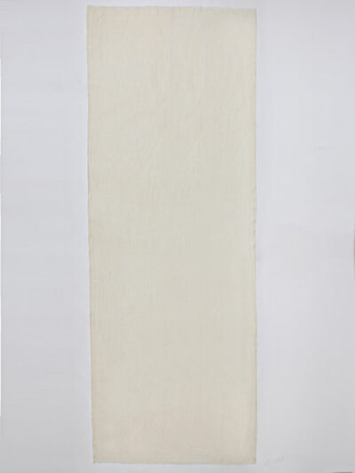 Pashmina Shawl- Plain Cream - Image 6