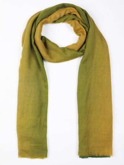 Pashmina Shawl- Green & Yellow Dual Tone - Image 3