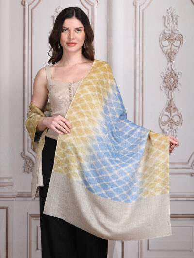 Pashmina Shawl- Multicolor - Image 2