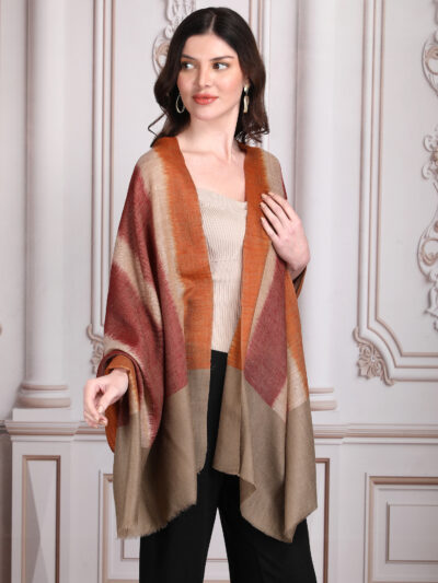 Pashmina Shawl- Multicolor - Image 2