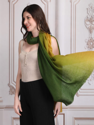 Pashmina Shawl- Green & Yellow Dual Tone