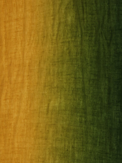 Pashmina Shawl- Green & Yellow Dual Tone - Image 4