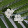 Earring Studs- White - Image 2